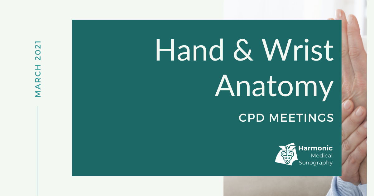 Hand & Wrist Anatomy