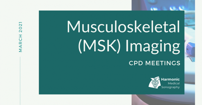 Blog Post – MSK