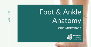 Foot and ankle ultrasound anatomy east sussex