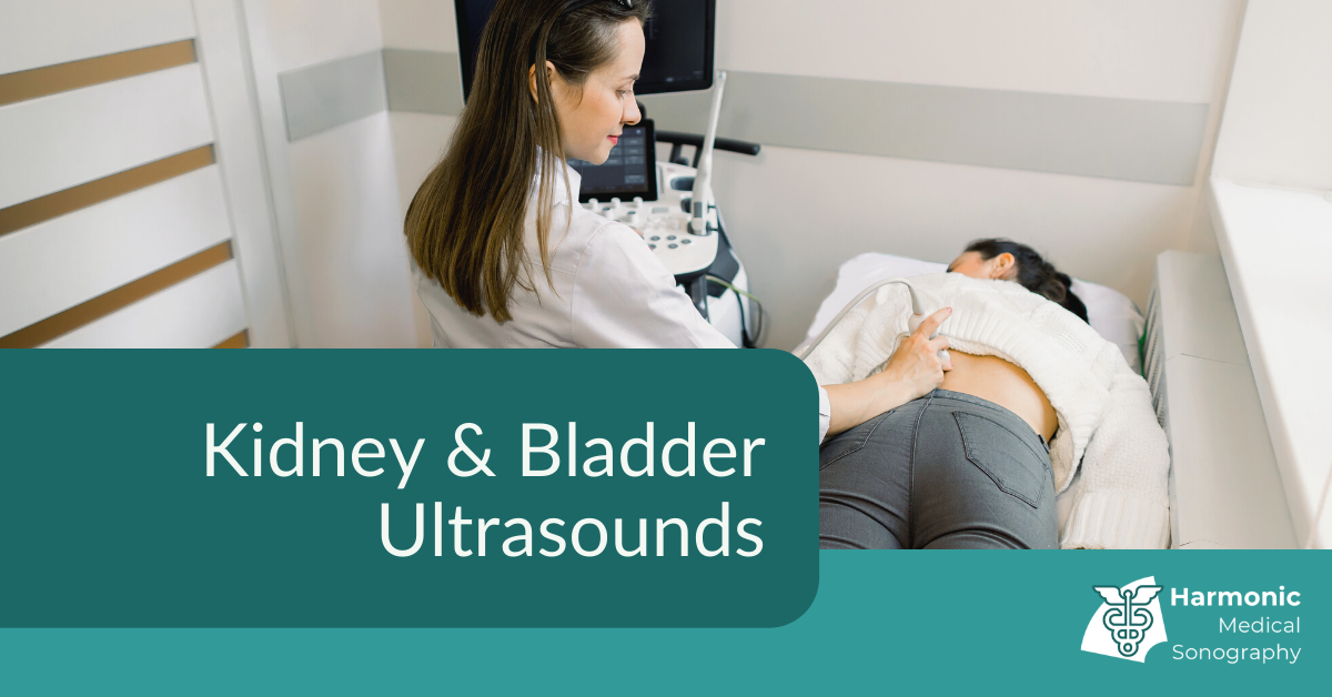 Kidney & Bladder Ultrasounds