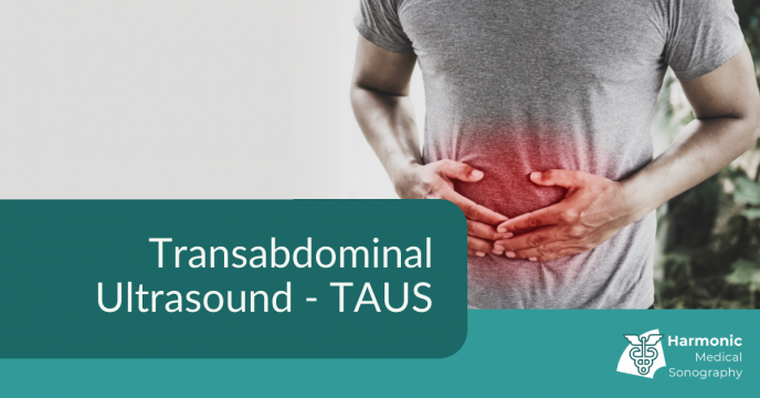 Transabdominal Ultrasound (TAUS)