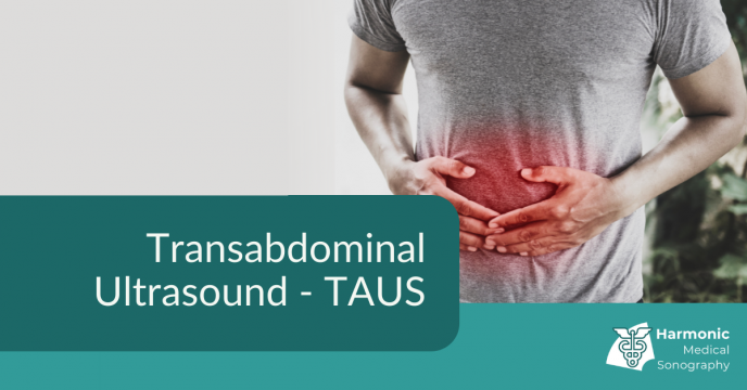 26.05.21 Blog Post -Transabdominal Ultrasound