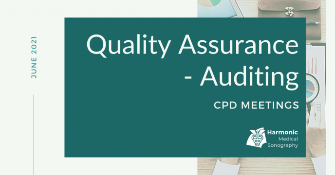 Quality Assurance – Auditing