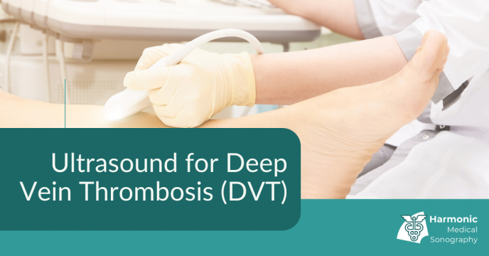 Vascular DVT Ultrasounds