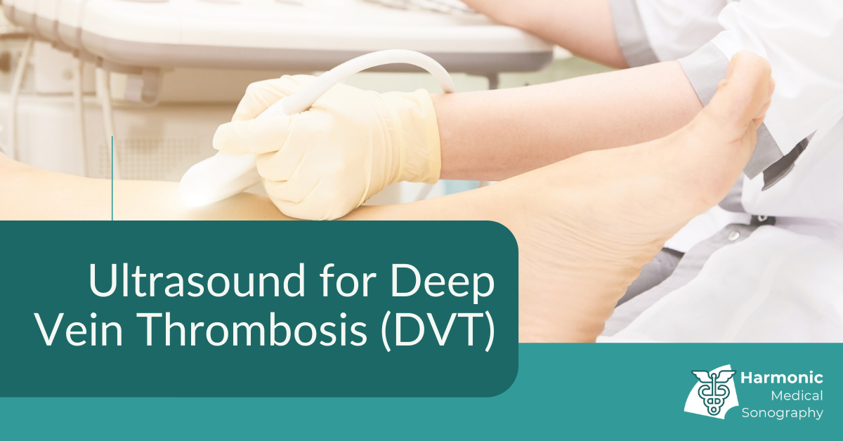 Vascular DVT Ultrasounds