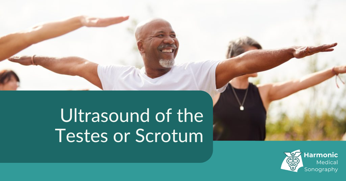 Ultrasound of the Testes or Scrotum